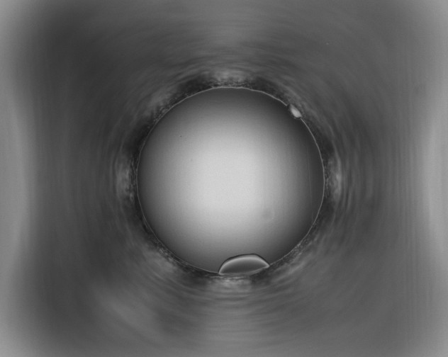 X0000116310619200912071310