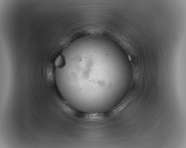 X0000116310622200912071310