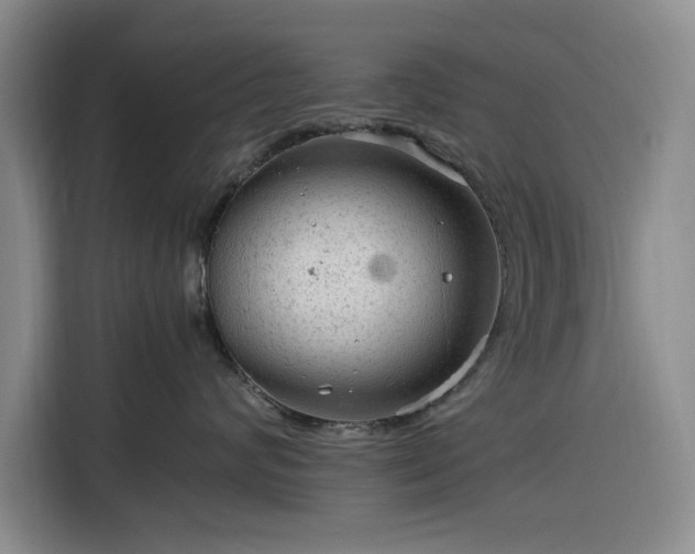 X0000116310624200912071310