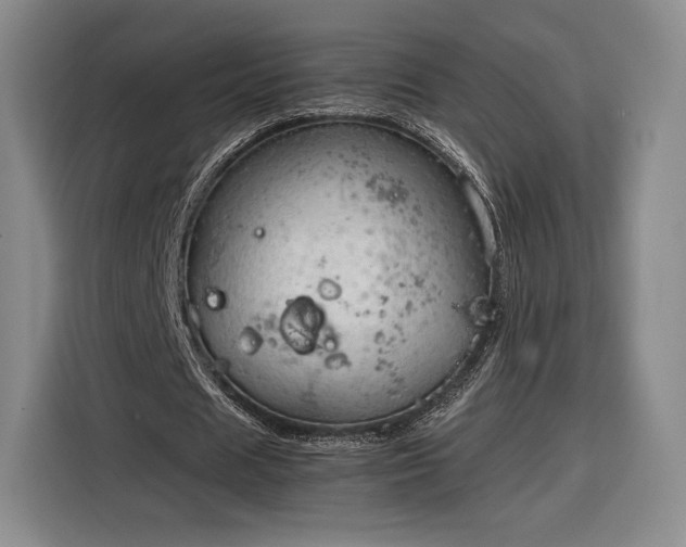 X0000116310625200912071309