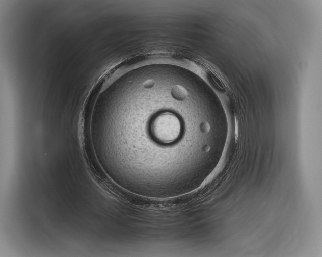 X0000116310627200912071309