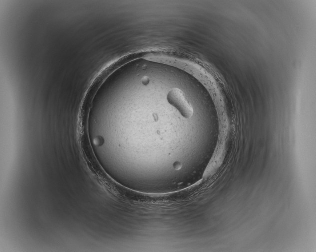 X0000116310628200912071309