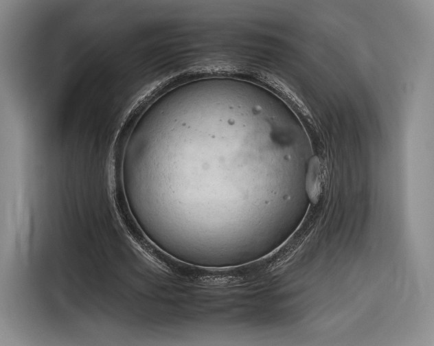 X0000116310629200912071309