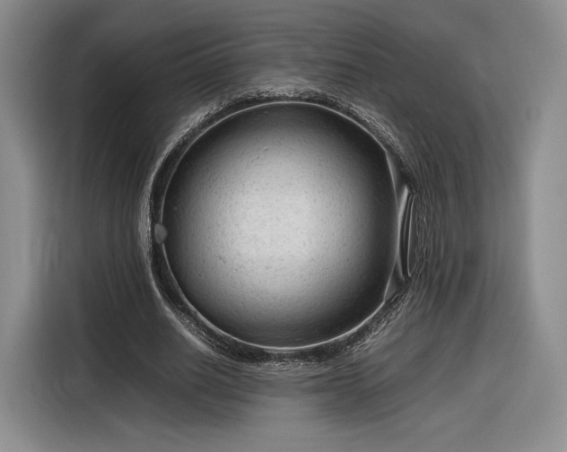 X0000116310630200912071309