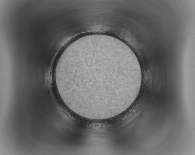 X0000116310632200912071309