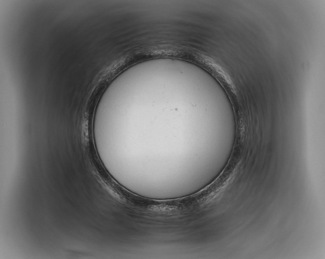 X0000116310633200912071309