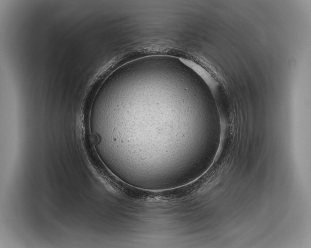 X0000116310634200912071309