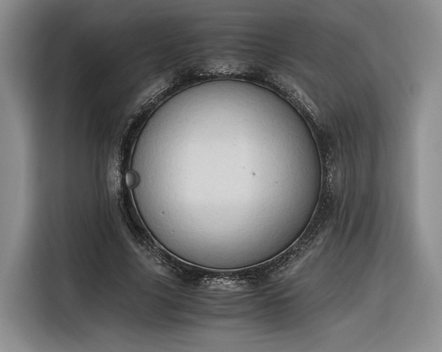 X0000116310635200912071309