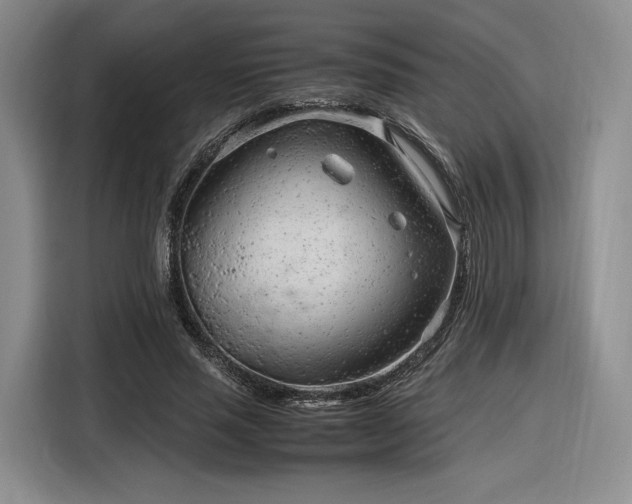 X0000116310637200912071309