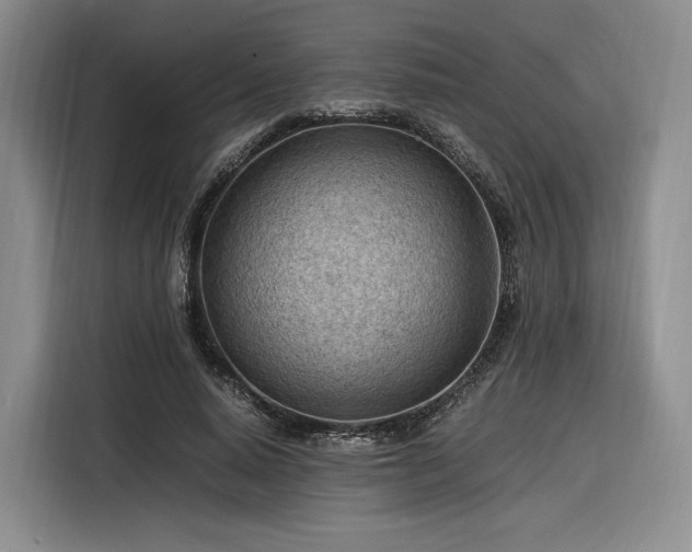 X0000116310640200912071309