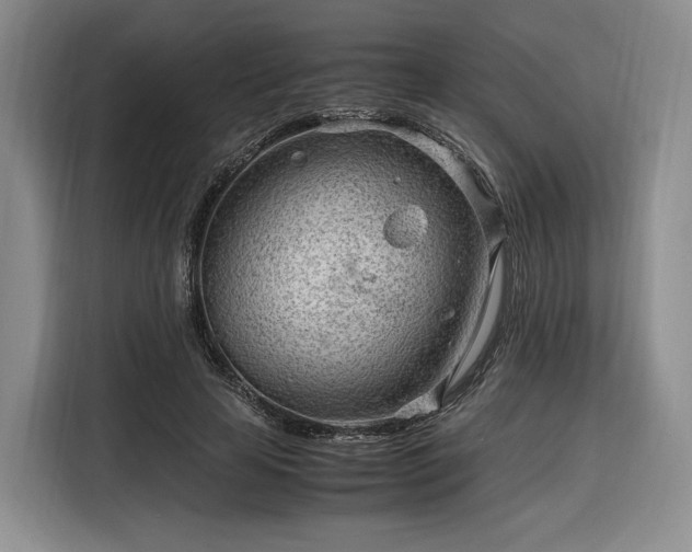 X0000116310641200912071309