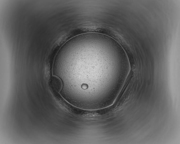 X0000116310642200912071309