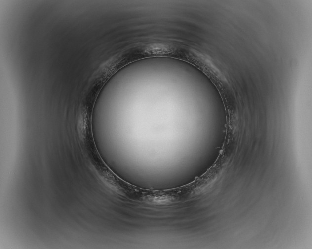 X0000116310645200912071309