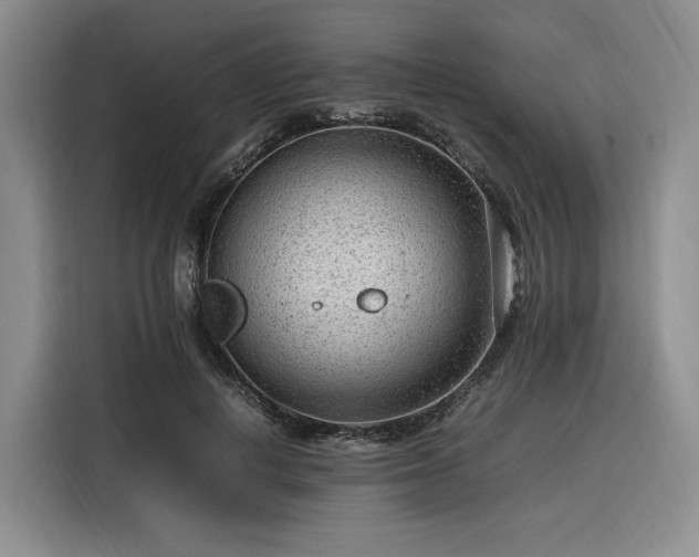 X0000116310648200912071309