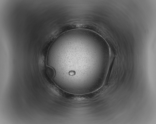 X0000116310650200912071309