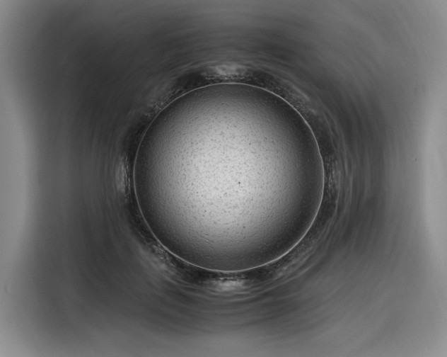 X0000116310651200912071309