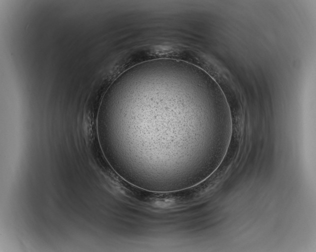 X0000116310653200912071309