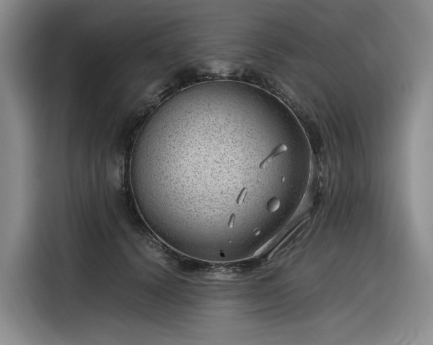 X0000116310656200912071309