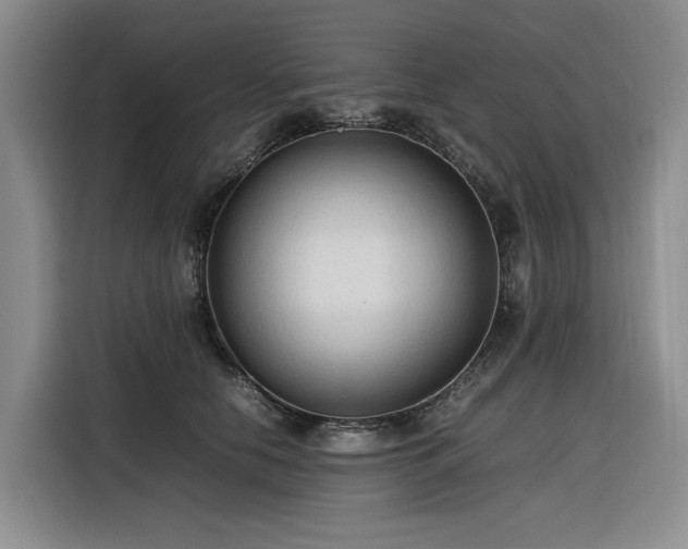 X0000116310658200912071309