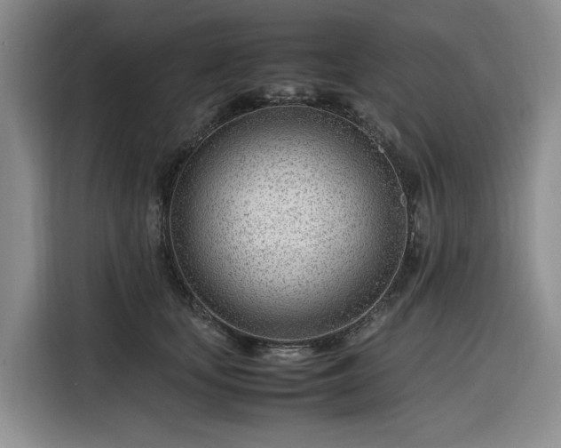 X0000116310659200912071309