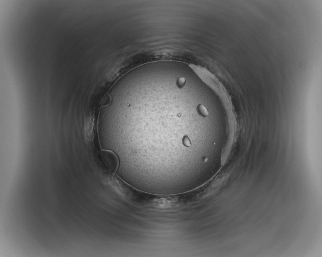 X0000116310660200912071309