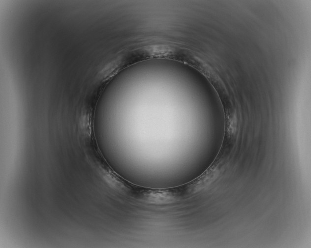 X0000116310666200912071309