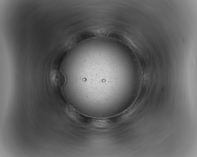 X0000116310671200912071310