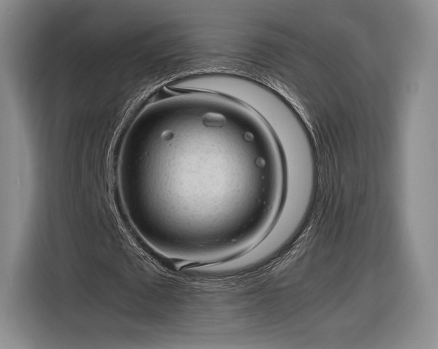 X0000116310673200912071309