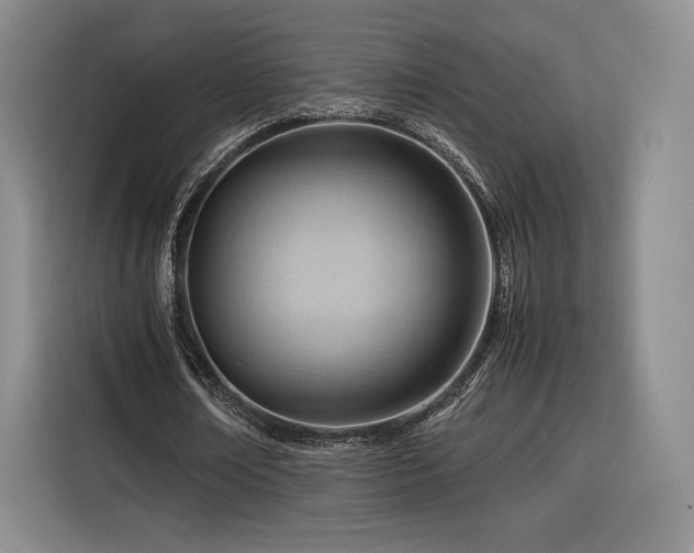 X0000116310674200912071309