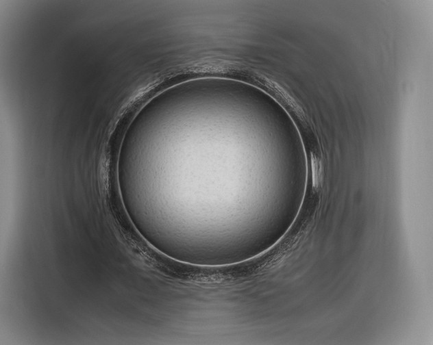 X0000116310675200912071309