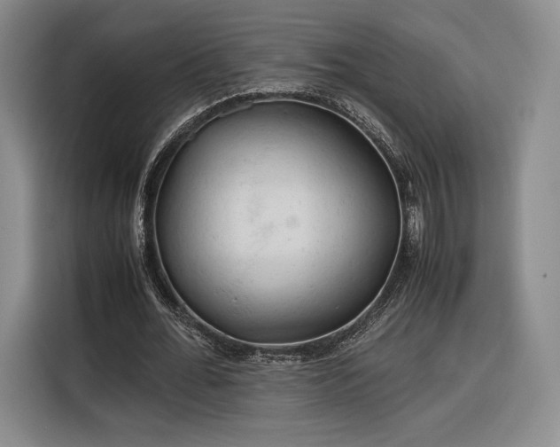 X0000116310676200912071309