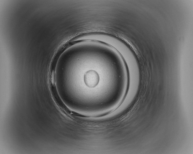 X0000116310677200912071309