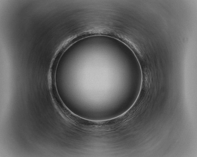 X0000116310678200912071309