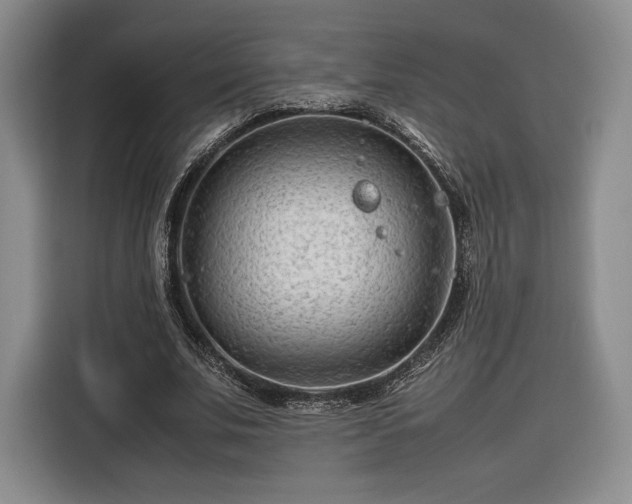 X0000116310679200912071309