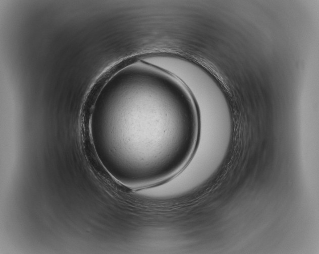 X0000116310680200912071309