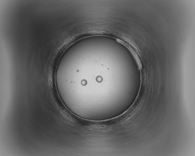 X0000116310681200912071309