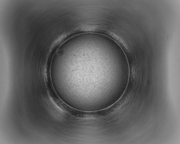 X0000116310682200912071309