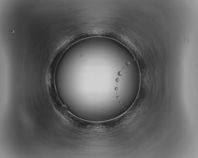 X0000116310683200912071309