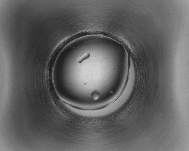 X0000116310684200912071309