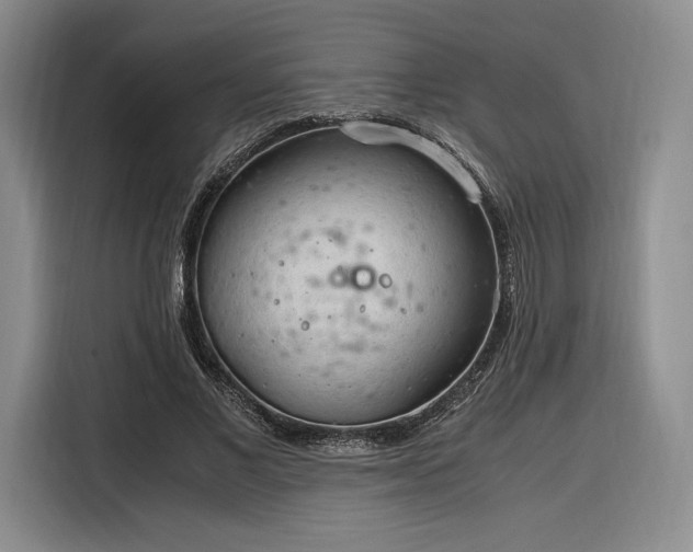 X0000116310685200912071309