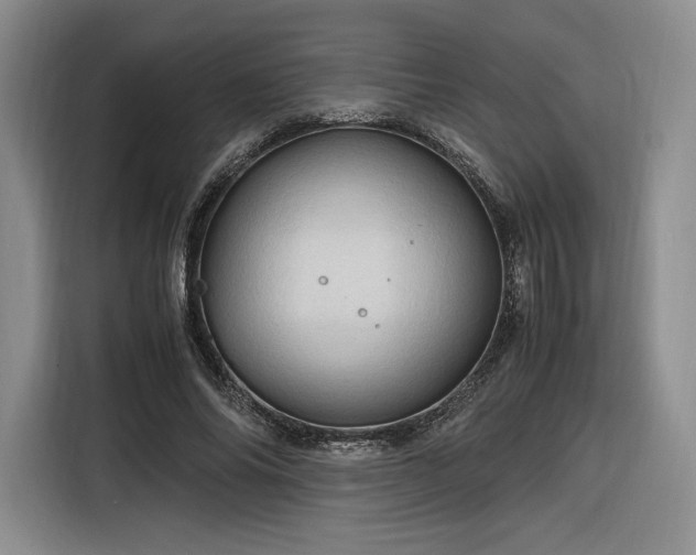 X0000116310686200912071309