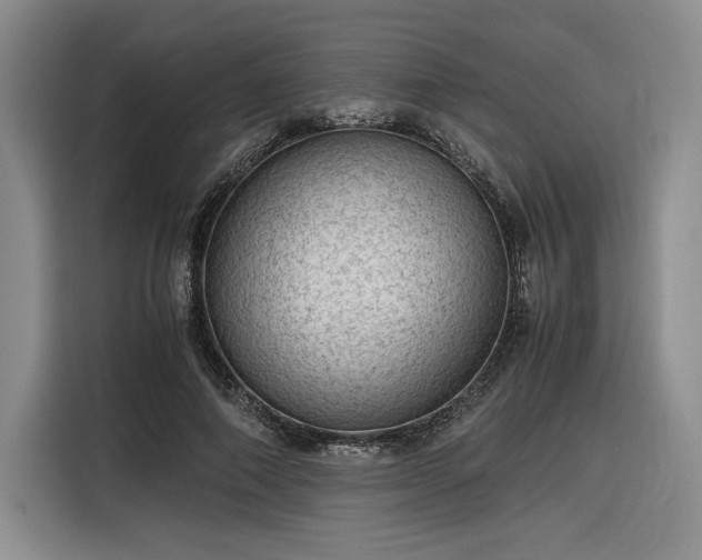 X0000116310690200912071309