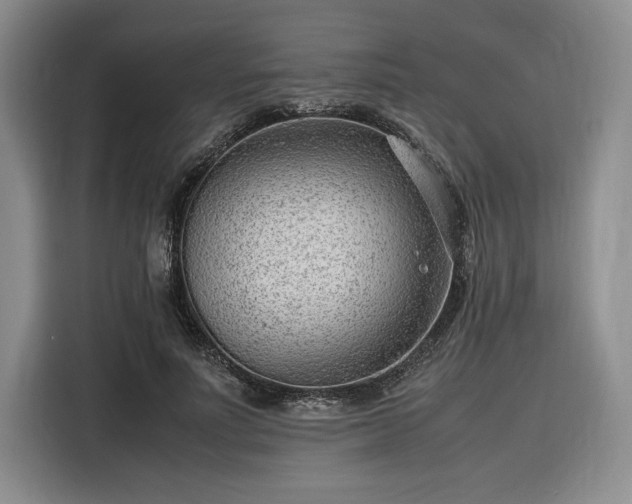 X0000116310691200912071309