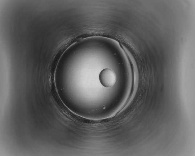 X0000116310692200912071309