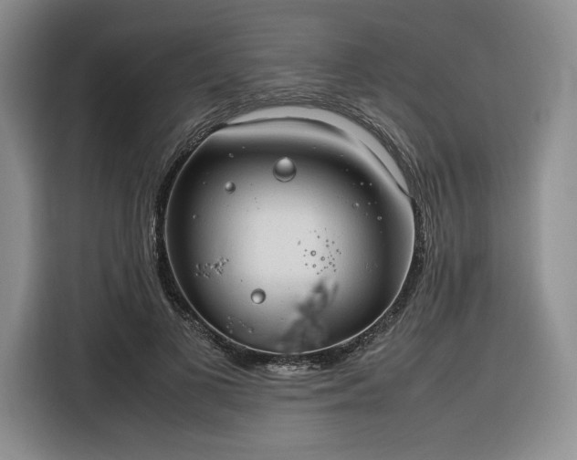 X0000116310693200912071309