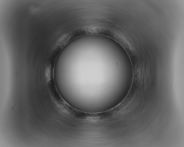 X0000116310694200912071309