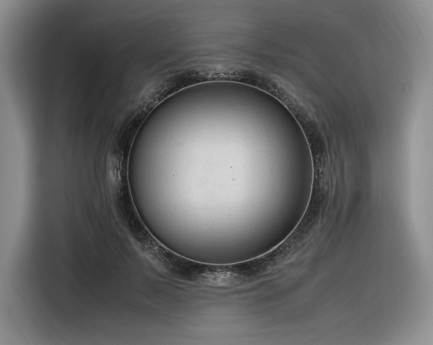 X0000116310695200912071309