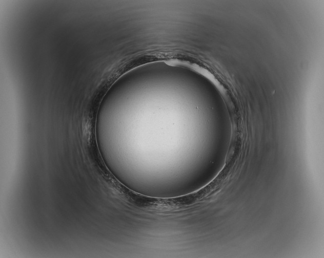 X0000116310697200912071309