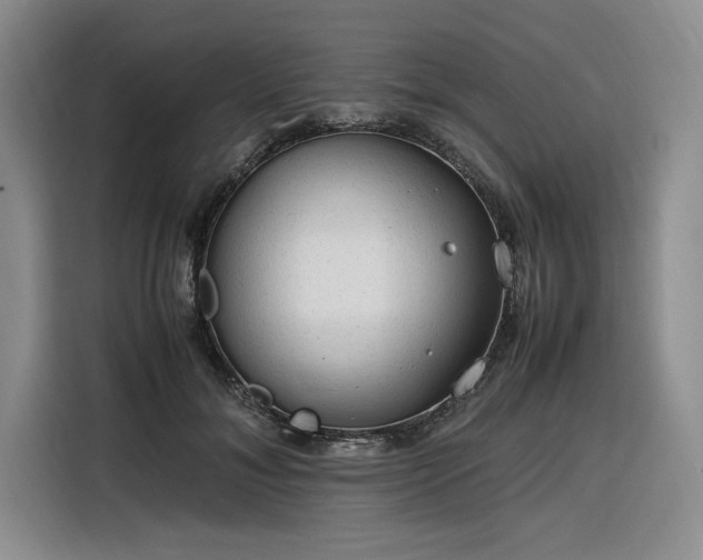 X0000116310700200912071309