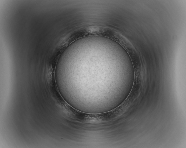 X0000116310702200912071309